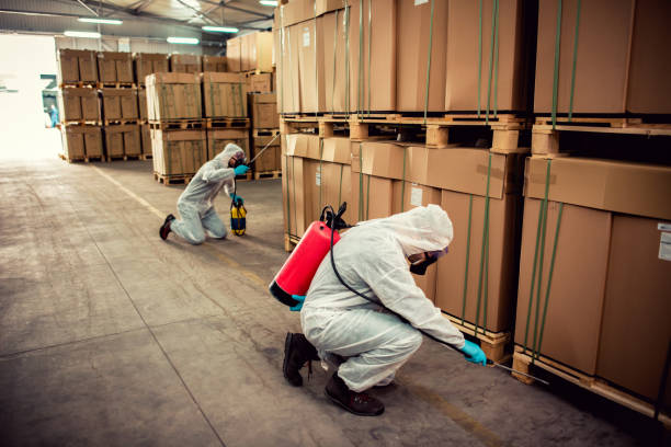 Best Pest Prevention Services  in Ironde, AL