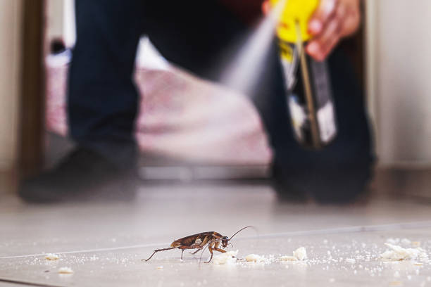 Best Commercial Pest Control Services  in Ironde, AL