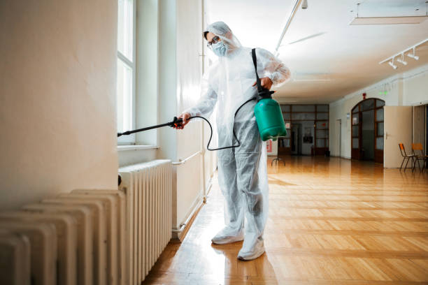 Best Pest Control Near Me  in Ironde, AL