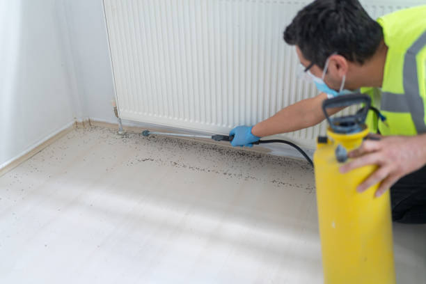 Best Affordable Pest Control Services  in Ironde, AL